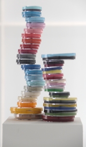 7. Petri Tower