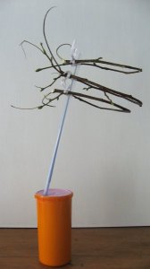 heron_molly_transmission_2011