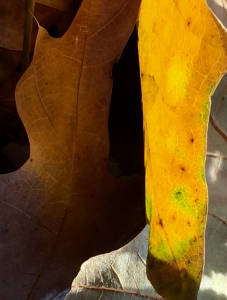 10.-IMG_1991