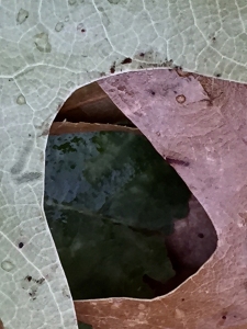 18.-IMG_2018