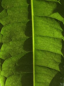 4.-IMG_1249